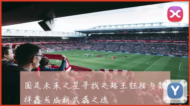 国足未来之星寻找之路王钰栋与魏祥鑫或成新武磊之选