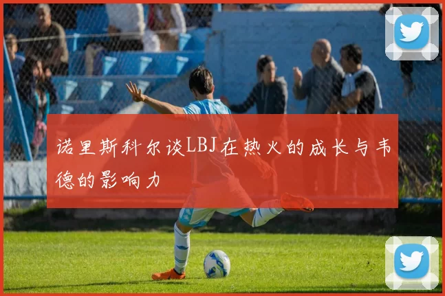 诺里斯科尔谈LBJ在热火的成长与韦德的影响力